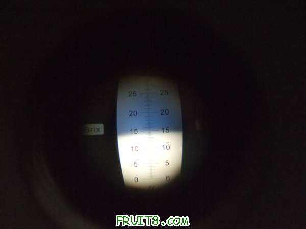 7��31����֮�� 007.jpg
