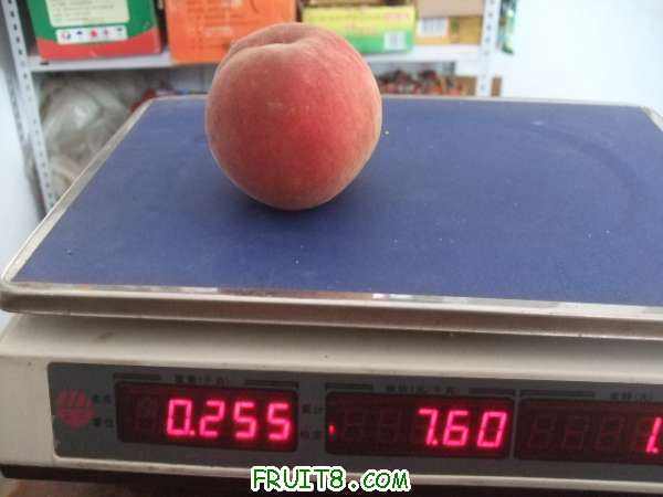 8��3����֮�� 007.jpg