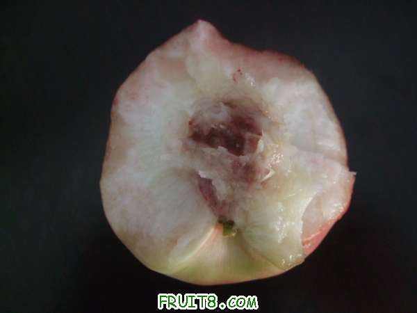 8��3����֮�� 008.jpg