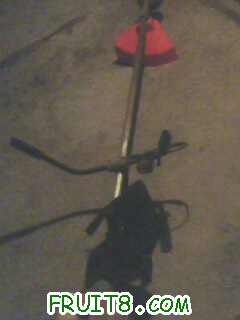 IMG0279A.jpg
