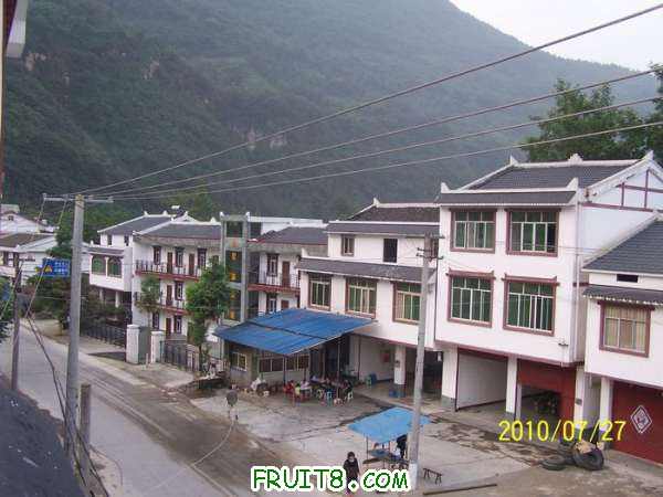nEO_IMG_100_1955.jpg