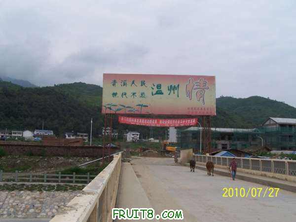 nEO_IMG_100_2010.jpg