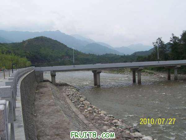 nEO_IMG_100_2021.jpg