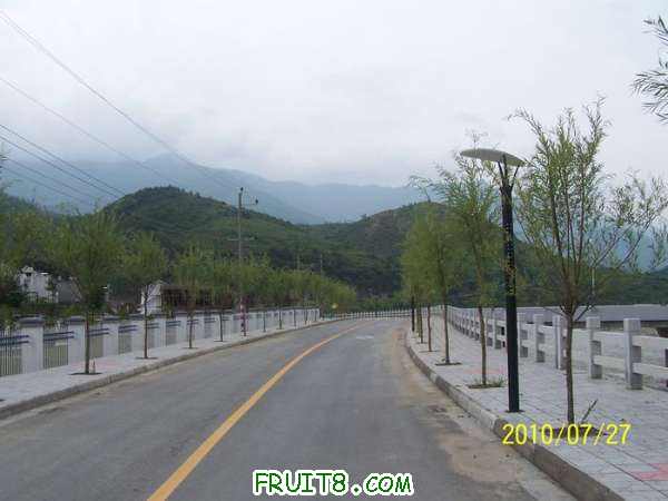 nEO_IMG_100_2022.jpg