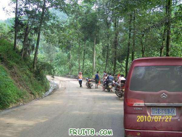nEO_IMG_100_2050.jpg