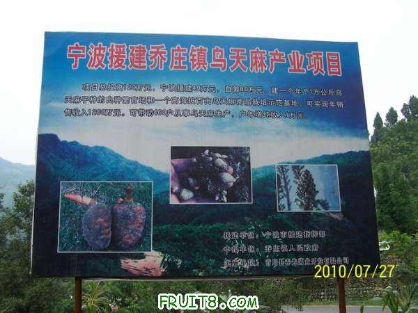 nEO_IMG_100_2041.jpg