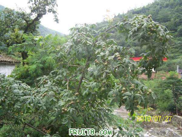 nEO_IMG_100_2032.jpg