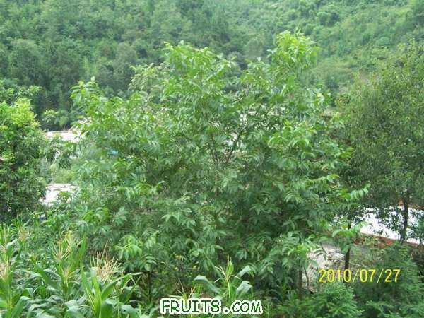 nEO_IMG_100_2042.jpg