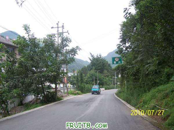nEO_IMG_100_2045.jpg