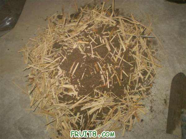 P8060015 (С��).JPG