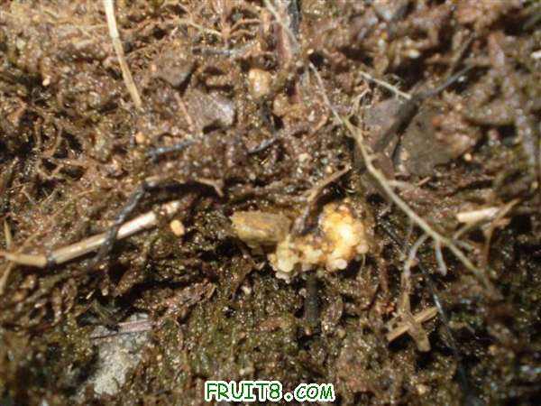 P8060013 (С��).JPG