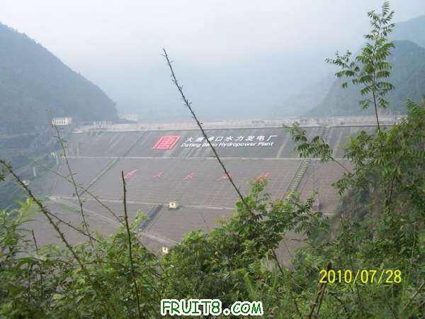 nEO_IMG_100_2108.jpg