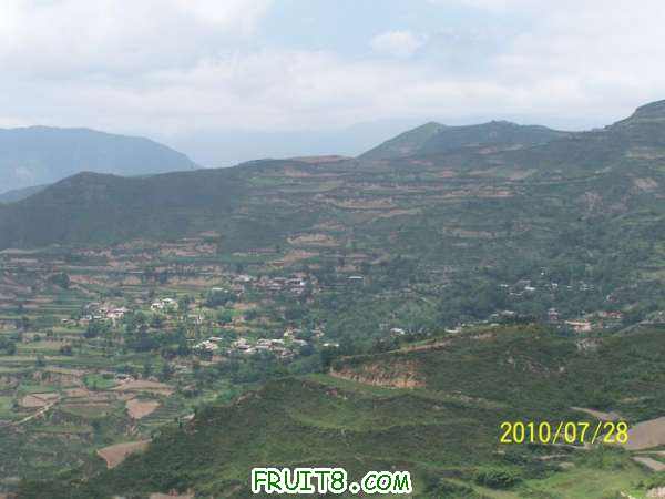 nEO_IMG_100_2157.jpg