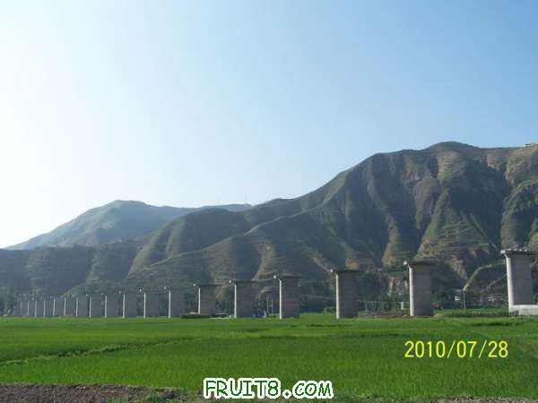 nEO_IMG_100_2240.jpg