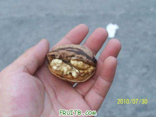 nEO_IMG_100_2606.jpg