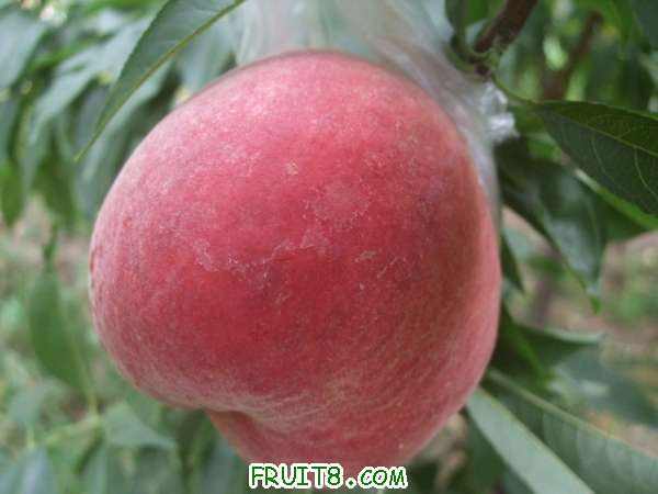 8��9����֮�� 002.jpg