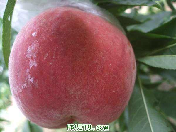 8��9����֮�� 003.jpg