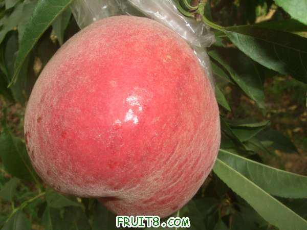 8��9����֮�� 001.jpg