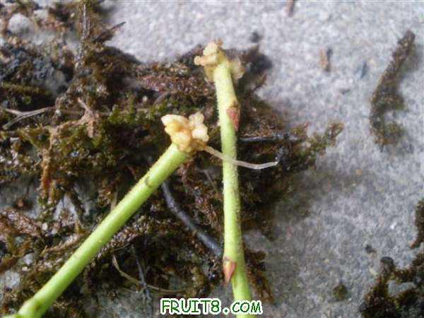 P8100031 (С��).JPG