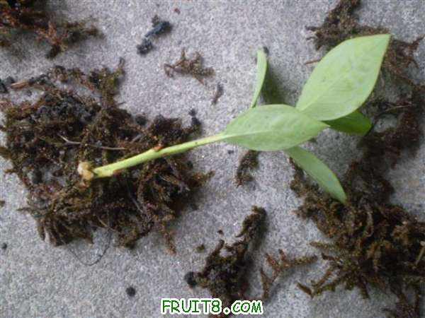 P8100022 (С��).JPG