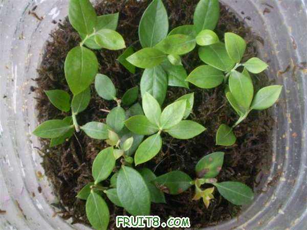 P8100027 (С��).JPG