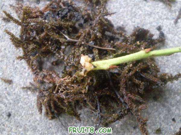 P8100023 (С��).JPG