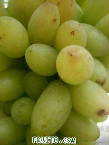 ��ɫ��û������