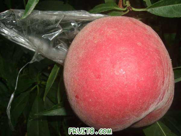 8��14����֮�κͲ�֪���� 008.jpg