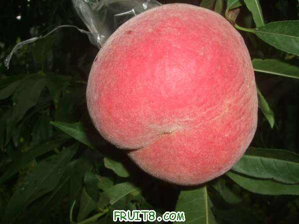8��14����֮�κͲ�֪���� 007.jpg