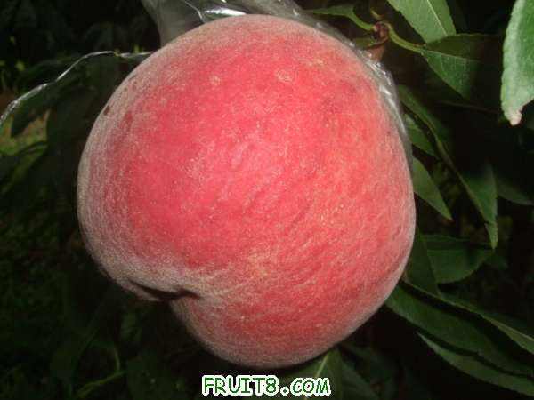 8��14����֮�κͲ�֪���� 006.jpg