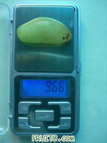 ����9�˶�