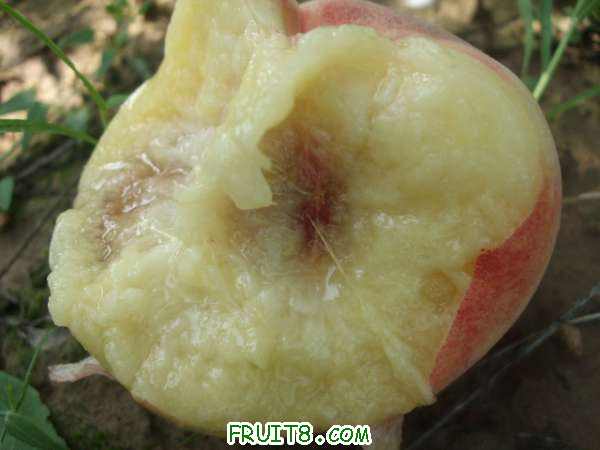 8��16����Ʒ�� 018.jpg