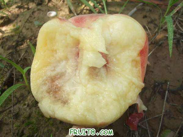 8��16����Ʒ�� 017.jpg