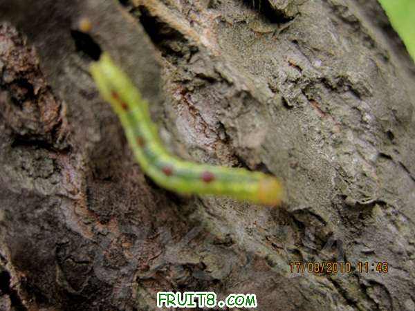 IMG_1844.jpg