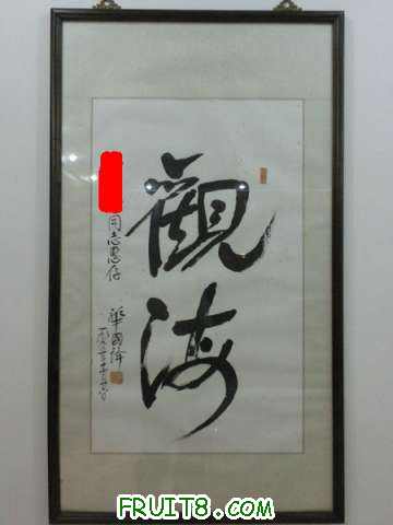 P8131635_.JPG