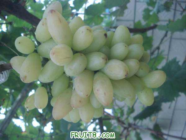 ��������������Ƚ�С