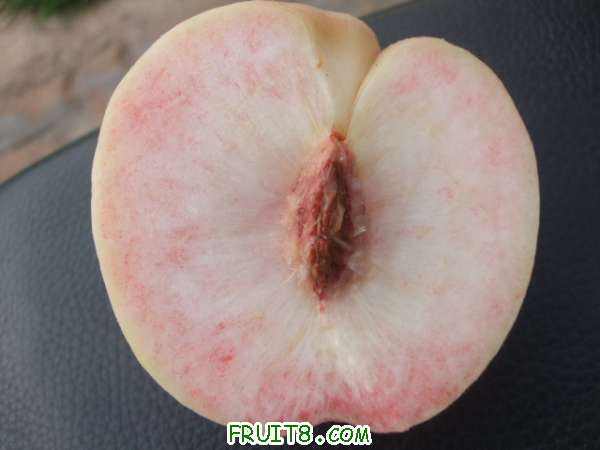8��18����Ʒ����֮�Ρ���֪�� 005.jpg