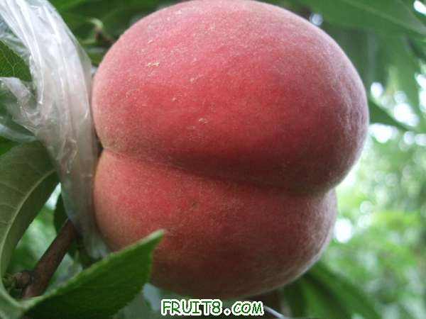 8��18����Ʒ����֮�Ρ���֪�� 002.jpg