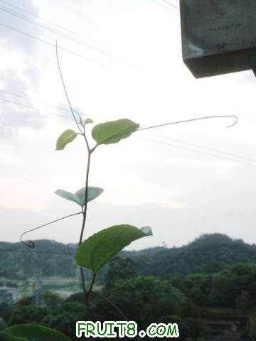 P8172108_.JPG