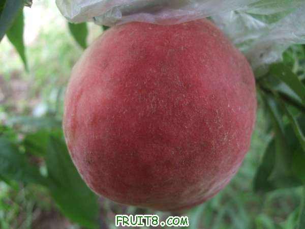 ֪ͨ�鼰8��22����֮�� 007.jpg