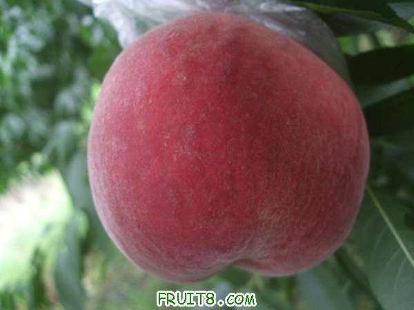 ֪ͨ�鼰8��22����֮�� 006.jpg