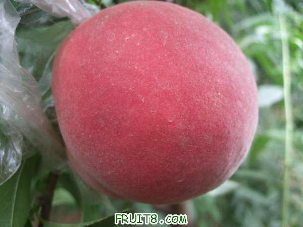 ֪ͨ�鼰8��22����֮�� 005.jpg