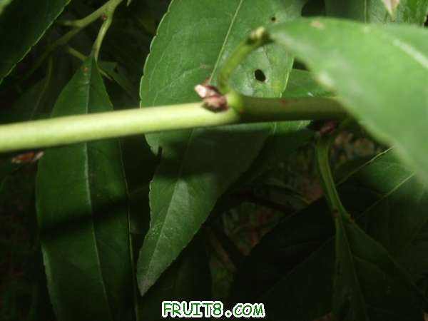 ֪ͨ�鼰8��22����֮�� 008.jpg