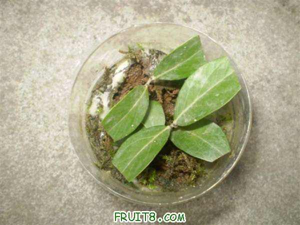 P8240002 (С��).JPG