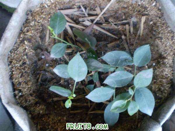 ��ѹ--Ǥ��---����---�ɻ���