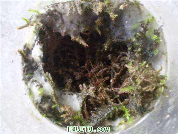 P8240006 (С��).JPG