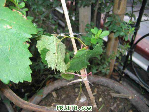 IMG_2718.jpg