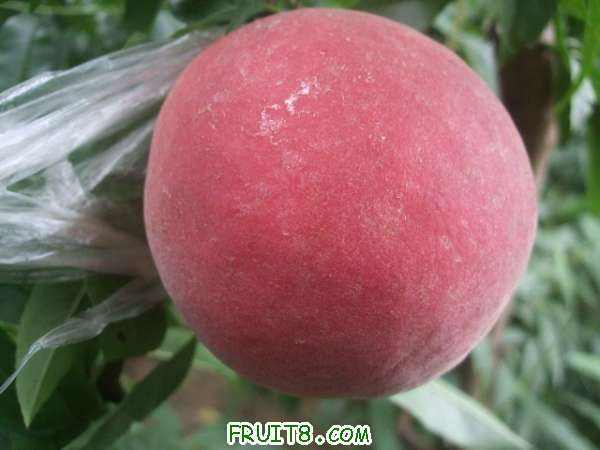 8��26�յ���֮�� 002.jpg