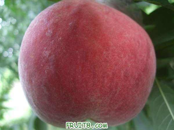 8��26�յ���֮�� 004.jpg