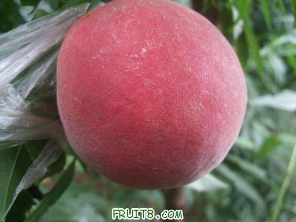 8��26�յ���֮�� 001.jpg